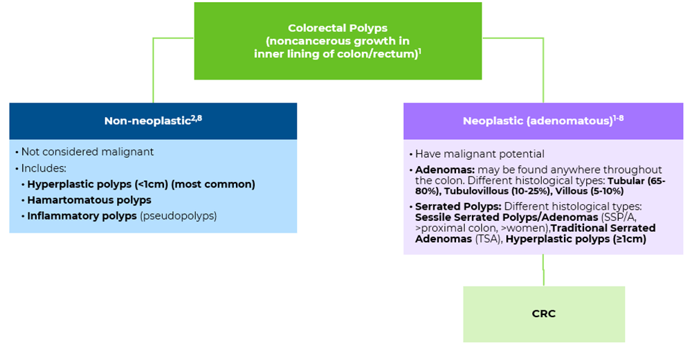 Flowchart of Colorectal polyp physiology