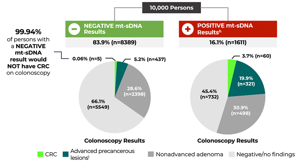Pie chart of mt-sDNA results breakdown