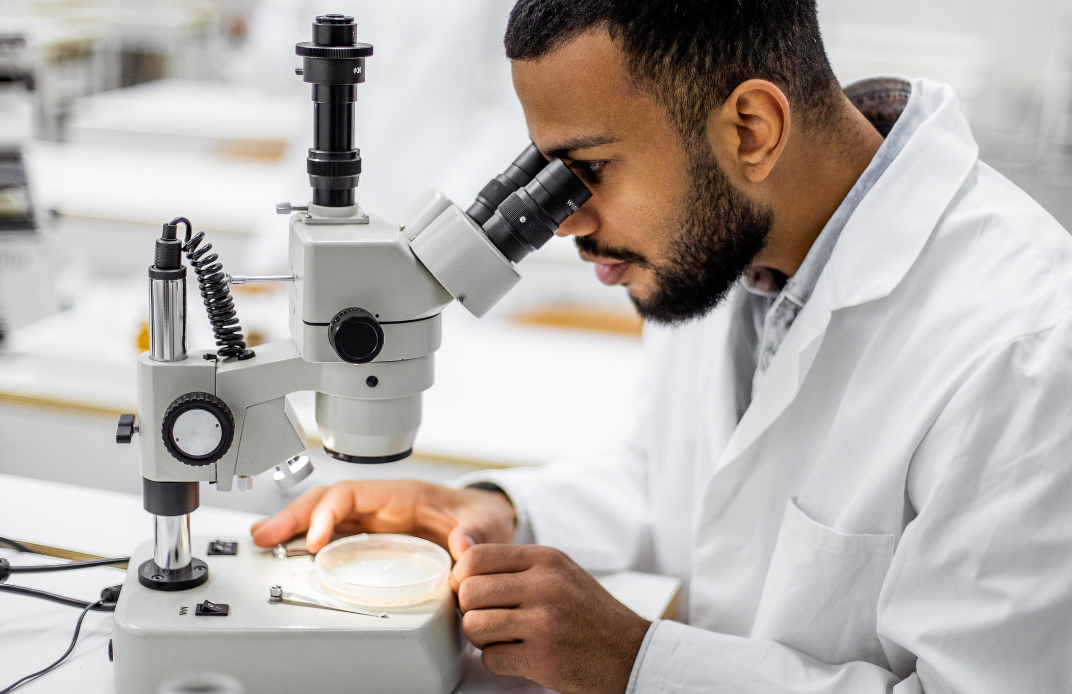 man looking into microscope at petri dish